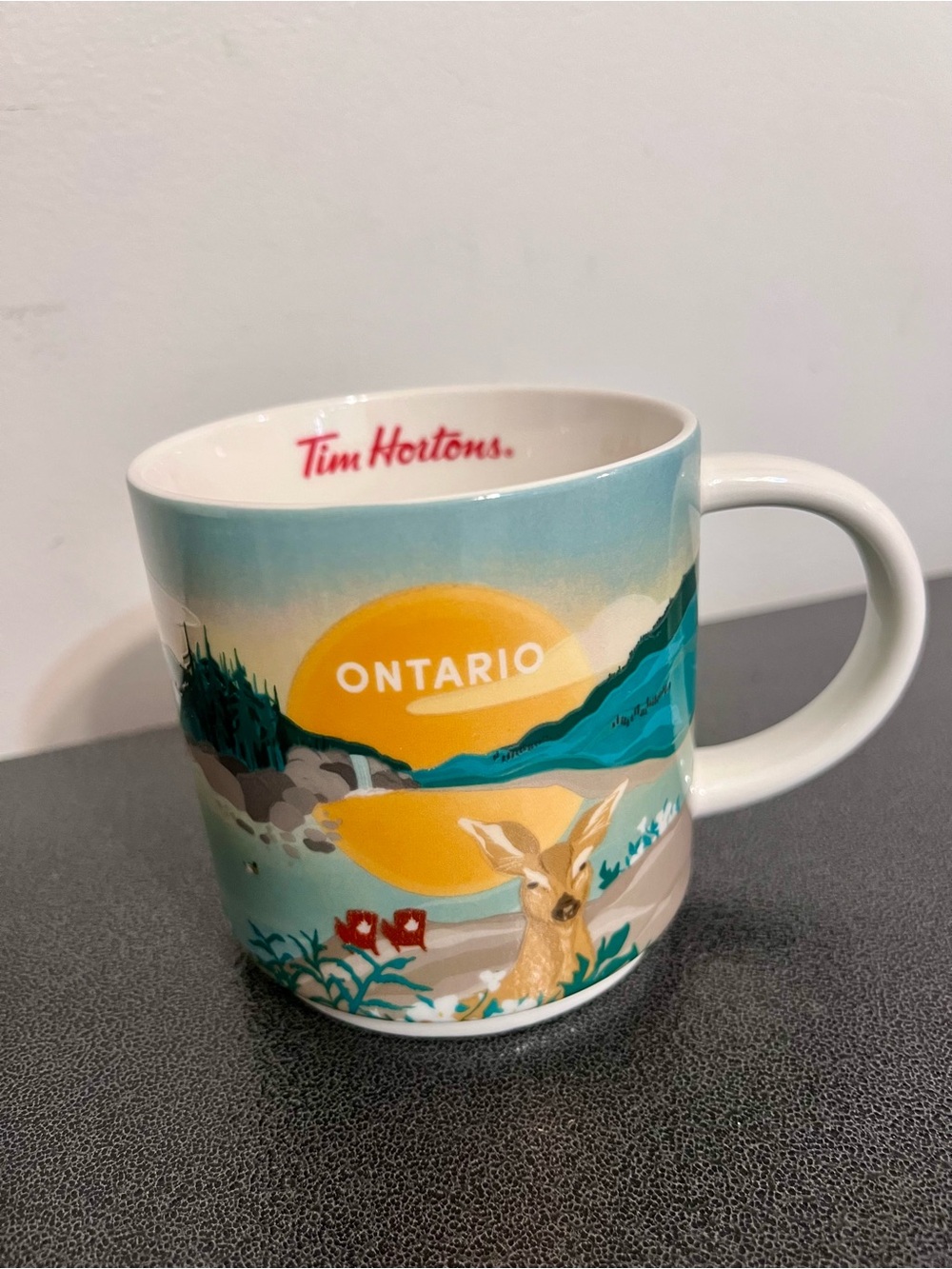 ☕ Tim Hortons Ontario Travel Collection Mug – 2024